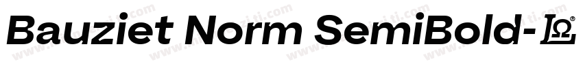 Bauziet Norm SemiBold字体转换